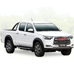 JAC E-T8